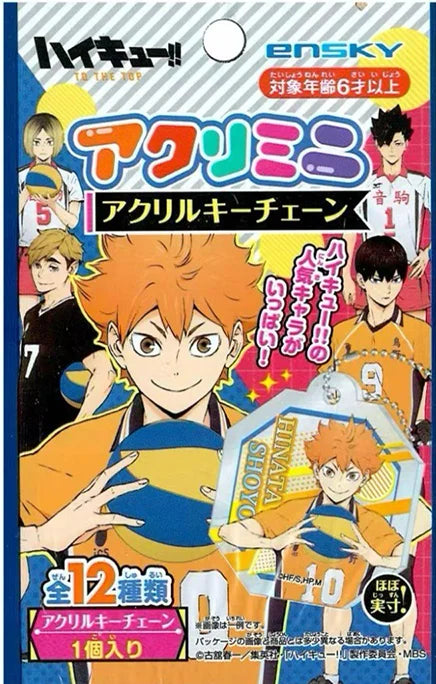Haikyuu Photo Cards – Anime Collectible Set